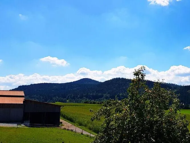 Holiday Apartment Haus Leutner Bavarian Forest Bodenmais